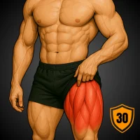 Leg Workouts : Leg Day Workout